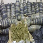 ضبط عاطل لحيازته بندقية و50 كيلو بانجو بالحسينية في حملة أمنية موسعة بالشرقية