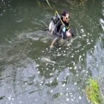 مصرع طفل وشيقيقة غرقاً في ترعه بالصالحية الجديدة