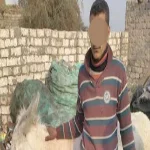 أهالى منيا القمح يسلمون تاجر خردة للأمن لقيامه بذبح حمير 