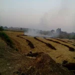 السحابة السوداء تكسو سماء الشرقية .. والزراعة: "حررنا 810 محضرًا للمخالفين"