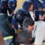 حقيقة العثور على قنبلة في مدرسه بالإبراهيميه 