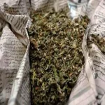 القبض على جزار مطلوب فى حكم غيابى وبحوزته 20 جرام بانجو بالعاشر