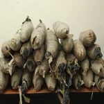 القبض على عاطلين وبحوزتهما 6 كيلو بانجو بأولاد صقر