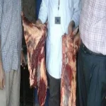 ضبط مخزن سولار وكمية كبيرة من اللحوم والدواجن مجهوله المصدر بفاقوس فى الشرقية