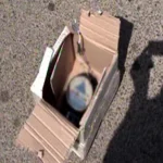 الحماية المدنية بالشرقية: الجسم الغريب بأبوحماد عبوة هيكلية