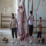 تشكيل لجنة لحصر محتويات المجزر الآلى بمدينة الزقازيق