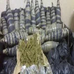 القبض على عاطل بحوزته 50 كيلو بانجو وسلاح ناري بالحسينية