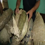 سقوط عاطل بحوزته سلاح نارى و15 كيلو بانجو في قبضه مباحث بلبيس 