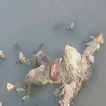 العثور على جثة طفل مقتول فى ظروف غامضة بفاقوس