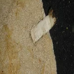 العثور على أعقاب سجائر داخل رغيف خبز في كفر صقر