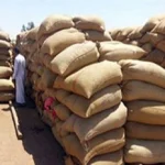 تموين الشرقية: اكتشاف عجز 9 آلاف طن قمح بشونة غلال بمركز الحسينية