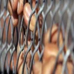 أحكام بالحبس وكفالة وإغلاق منشآت مارست الاحتكار بالعاشر من رمضان