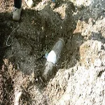 العثور على دانتين من مخلفات الحروب فى القمامة بالشرقية