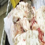 ضبط 1.458 طن دجاج وبامية منتهية الصلاحية ببلبيس