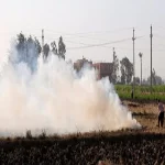 17 محضرا جديدا بالشرقية لحرق قش الأرز