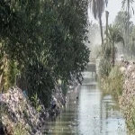 مزارعو أبو كبير يطالبون بفتح ترعة لرى 600 فدان أغلقها أحد الأهالى