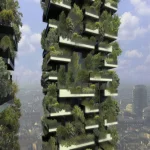 الغابة المتنامية داخل كتلة خرسانية