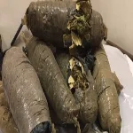 ضبط 25 كيلو بانجو بحوزة عاطل فى بلبيس