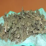 ضبط عاطلين لحيازتهما 3 كيلو بانجو فى بلبيس