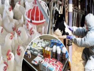 تسهيل تراخيص مشروعات الإنتاج الحيوانى والداجنى وتلقى الشكاوى عبر واتس آب