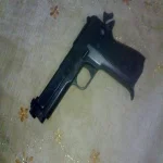 القبض على طالب وعاطل سرقا طبنجة موظف بإدارة ضرائب بأبو حماد