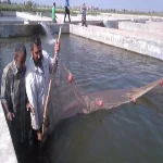 وزير الزراعة يعلن من الشرقية: مشروعات جديدة لتنمية الثروة السمكية