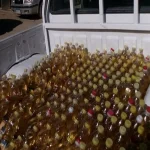 ضبط 1.160 طنًا من السكر والزيت مجهولة المصدر داخل محل مواد غذائية بفاقوس