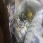 ضبط بقالة لحيازتها 2 طن سكر بهدف الاحتكار في بلبيس