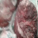 التحفظ على لحوم 465 خروف سودانى منتهية الصلاحية داخل ثلاجة بالشرقية