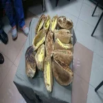 بالصور.. القبض على شخص يهرب المخدرات داخل "عيش شمسى" بميناء سفاجا