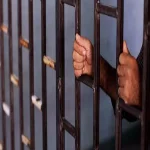 المؤبد لعامل لودر لسرقته سيارة سيدة تحت تهديد السلاح ببلبيس