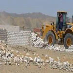 تنفيذ 31 قرار إزالة لتعديات على الأراضي الزراعية في الشرقية