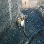 السيطرة على حريق بحظيرة مواشى بالصالحية الجديدة