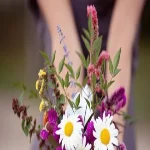 سامح تتسامح.. فى اليوم العالمى للتسامح ابعت رسالة لحد يستاهل تسامحه