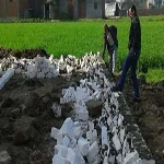 "الزراعة" تعلن عن مسابقة بين المديريات الأكثر تصديا للتعديات على الأراضى