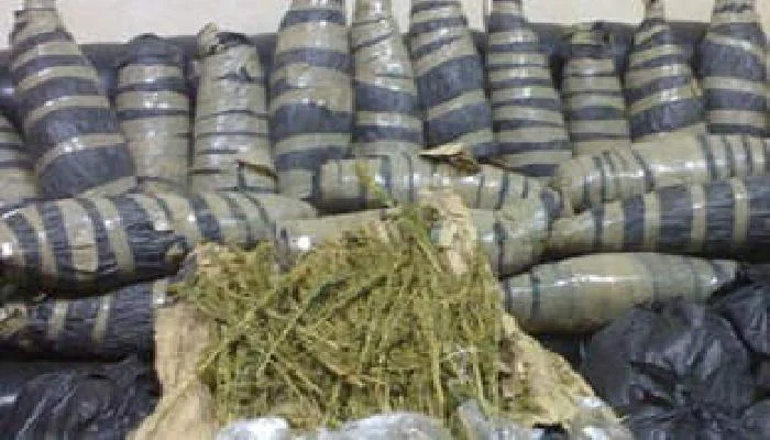 ضبط عاطل لحيازته بندقية و50 كيلو بانجو بالحسينية في حملة أمنية موسعة بالشرقية