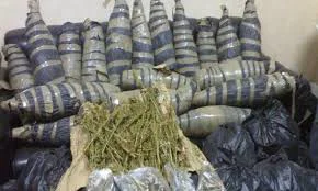 القبض على ربة منزل بحيازتها 10 كيلو بانجو في فاقوس
