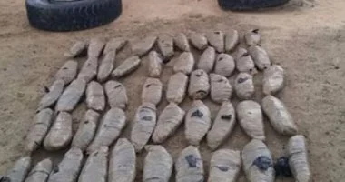 سقوط عاطلين قبل ترويجهما 50 كيلو بانجو بفاقوس فى الشرقية