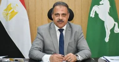 حملات نظافة وتجميل ورفع الإشغالات خلال احتفالات عيد الميلاد المجيد بالشرقية