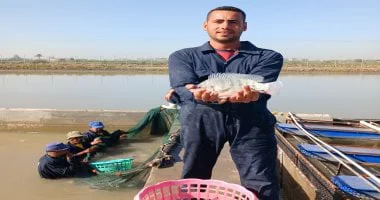 باحث بالمركز الدولي للأسماك يوضح طرق اختيار السمك الطازج