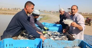 الخير في أرض مصر.. صيادو الشرقية يتحدون البرد بابتسامة أمل.. صور