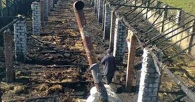 حريق يلتهم مزرعة دواجن ونفوق 7000 كتكوت فى فاقوس