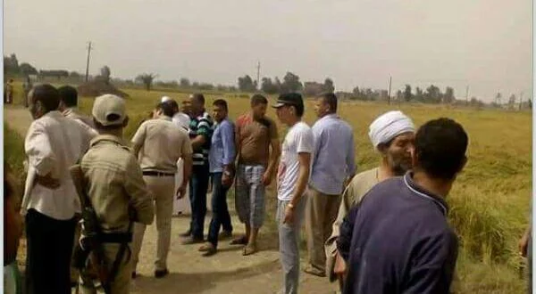 توسيع طريق «الحبش» بالإبراهيمية الشرقية بقرار نيابى