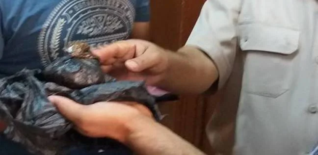 القبض على ربة منزل حاولت تهريب مخدرات لسجين بفاقوس