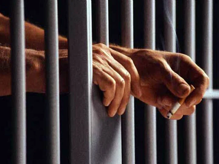 حبس صاحب مزرعة دواجن حولها لمصنع عقاقير مخدرة بأبوحماد