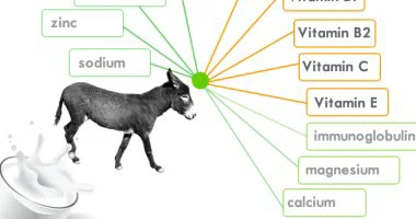 اللتر بـ60 دولارا.. 10 فوائد لا تتخيلها للبن الحمير الأغلى فى أوروبا