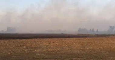 السحابة السوداء تغطي سماء الشرقية بسبب حرق قش الأرز