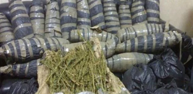 ضبط 40 كيلو بانجو و500 جرام هيروين بحوزة عاطلين في بلبيس