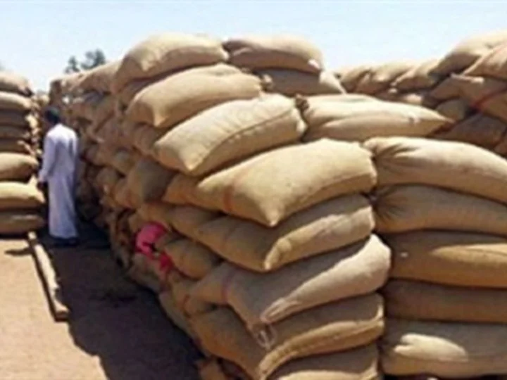 تموين الشرقية: اكتشاف عجز 9 آلاف طن قمح بشونة غلال بمركز الحسينية
