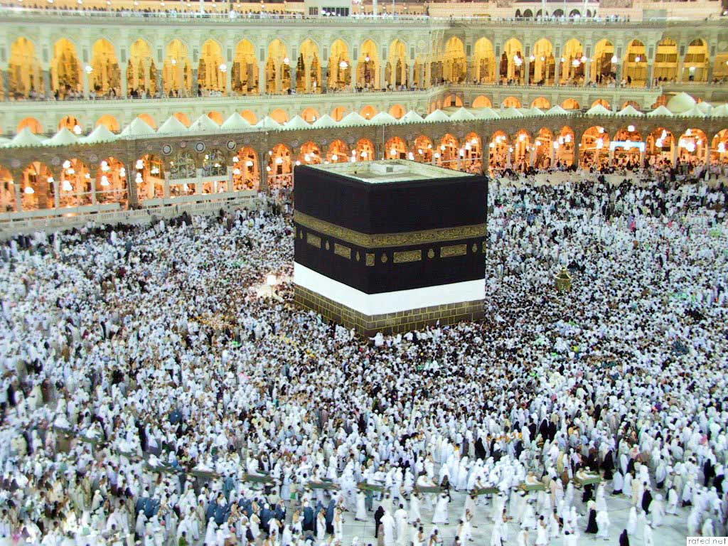 شعبة السياحة: انفراجة فى رحلات العمرة بعد تعديل السعودية قرار رفع التأشيرة